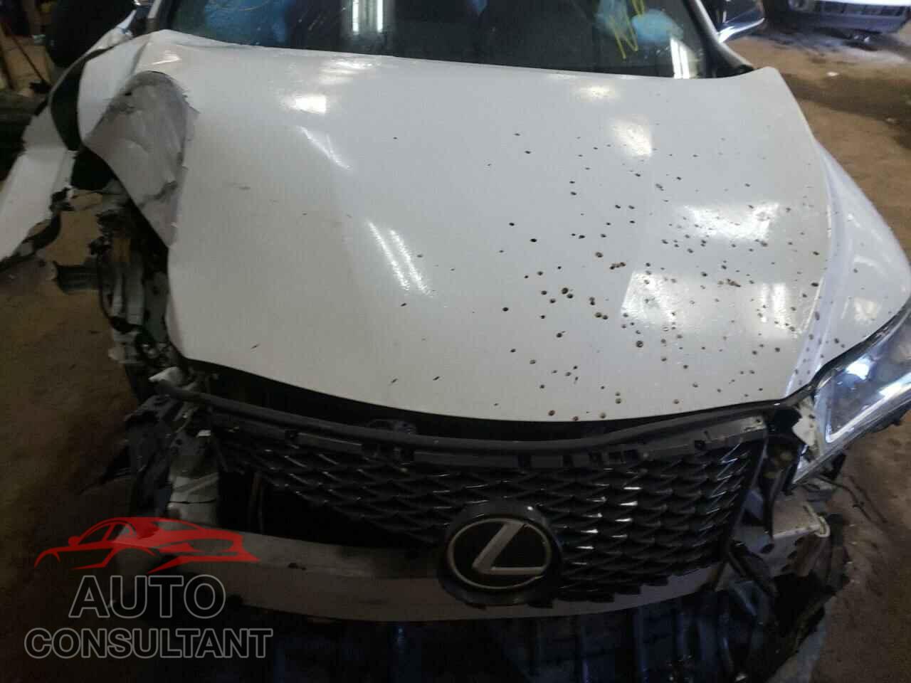 LEXUS RX350 2017 - 2T2BZMCA7HC056413