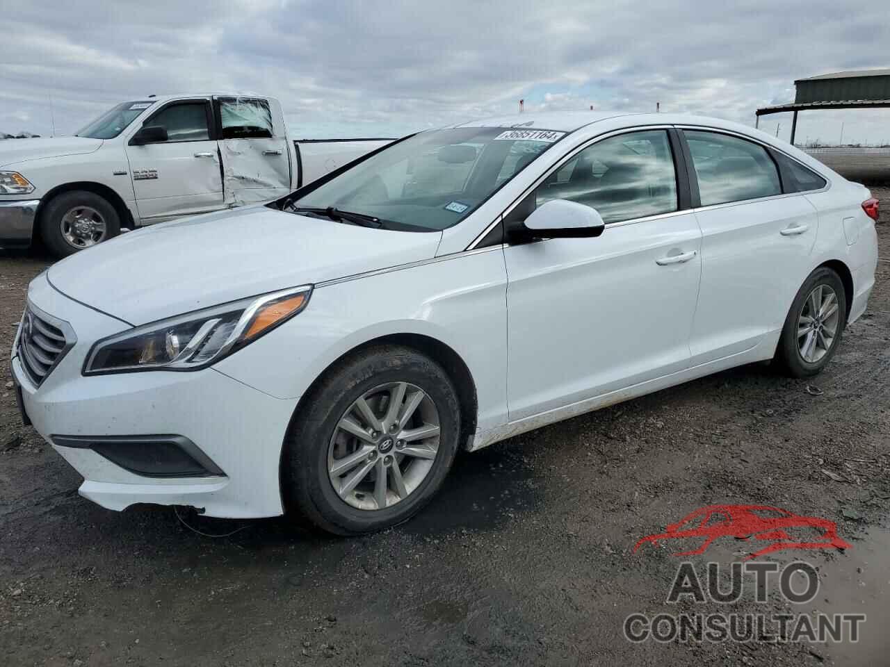 HYUNDAI SONATA 2016 - 5NPE24AFXGH339839