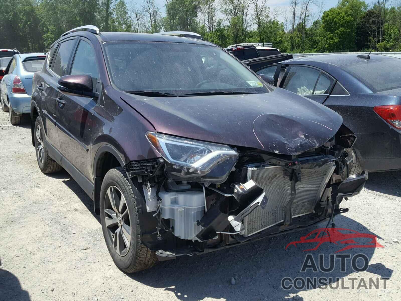 TOYOTA RAV4 2016 - 2T3RFREV3GW455560