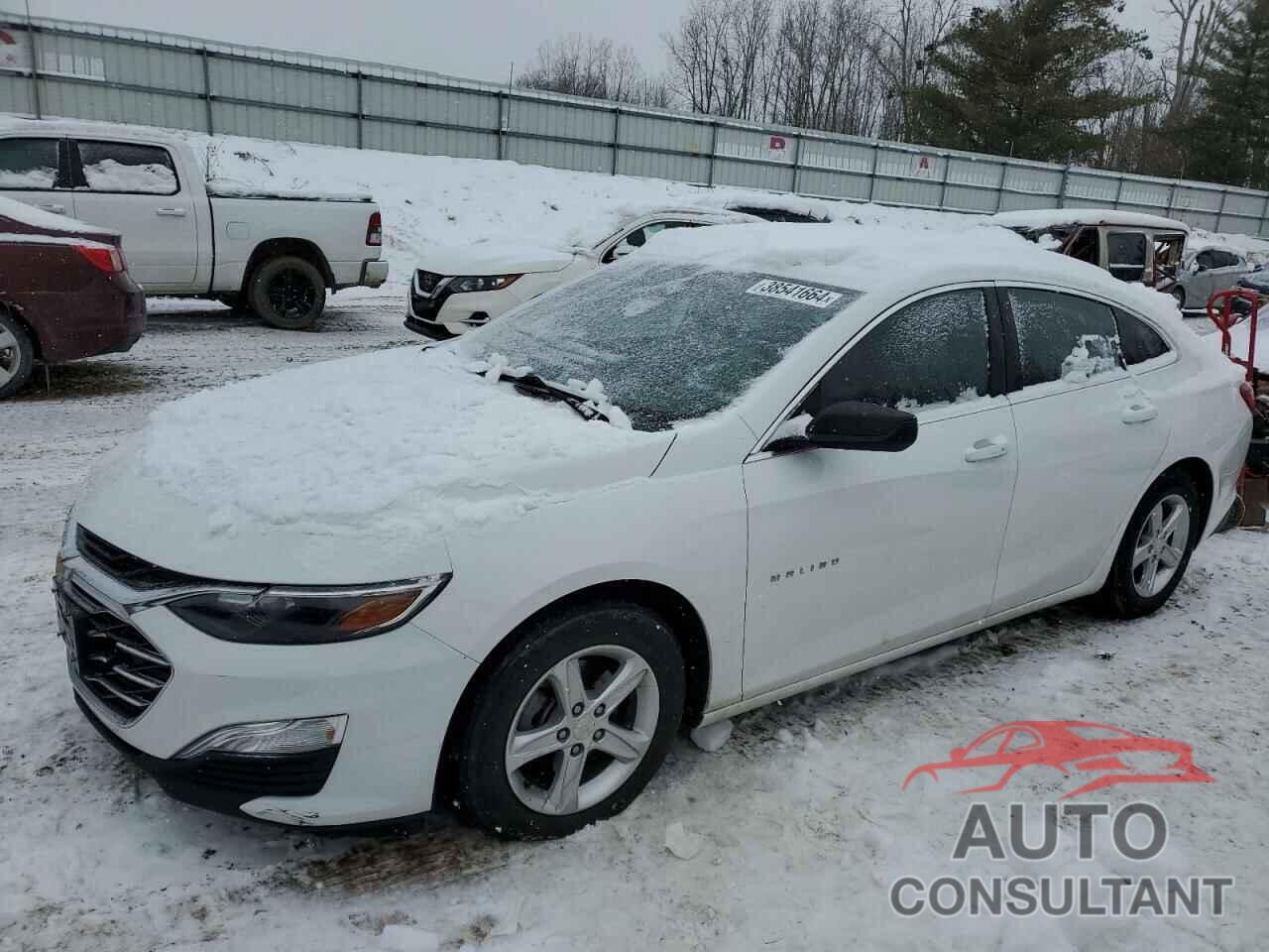 CHEVROLET MALIBU 2019 - 1G1ZB5ST6KF173648