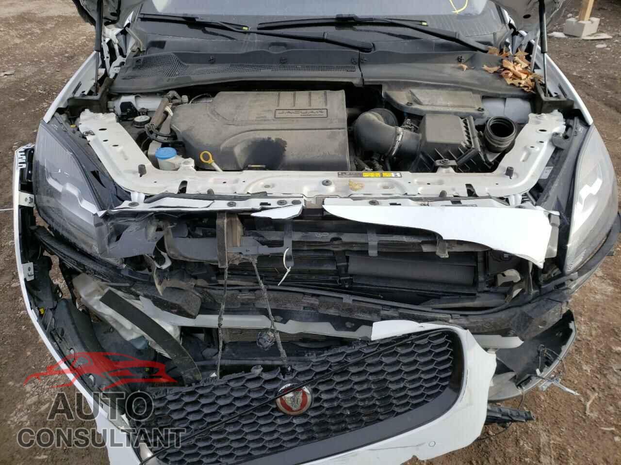 JAGUAR ETYPE 2018 - SADFP2FX6J1Z18356