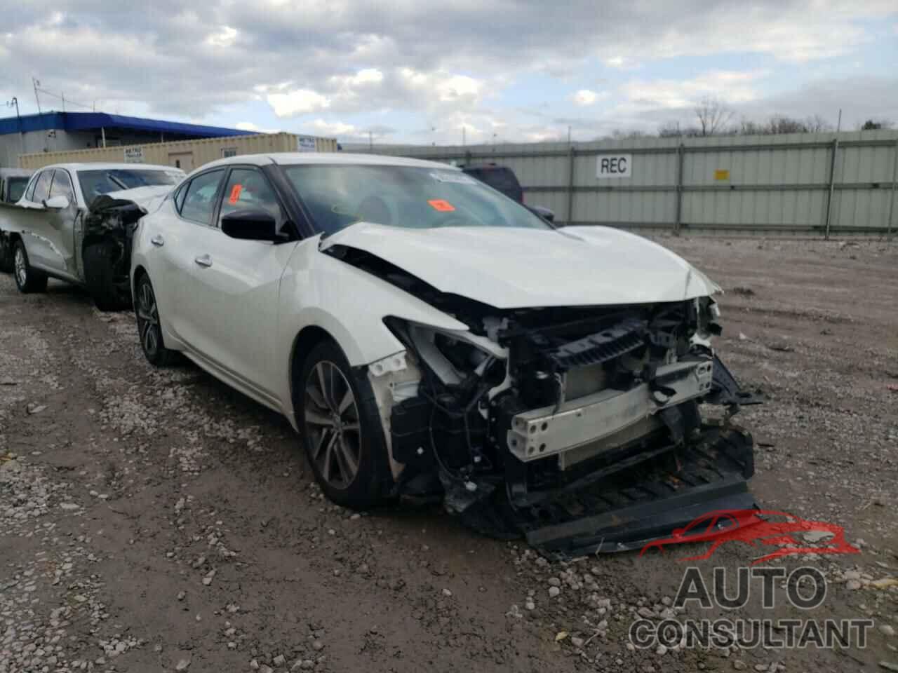 NISSAN MAXIMA 2019 - 1N4AA6AV8KC372868