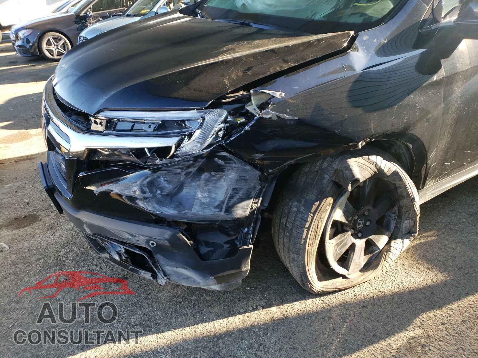 HONDA RIDGELINE 2019 - 5FPYK3F82KB048266