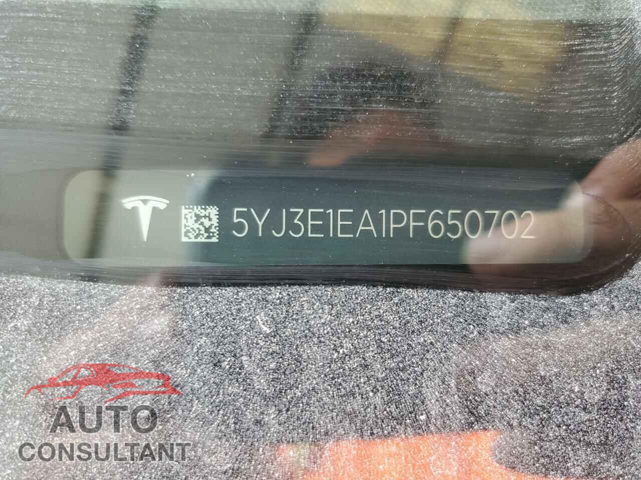 TESLA MODEL 3 2023 - 5YJ3E1EA1PF650702