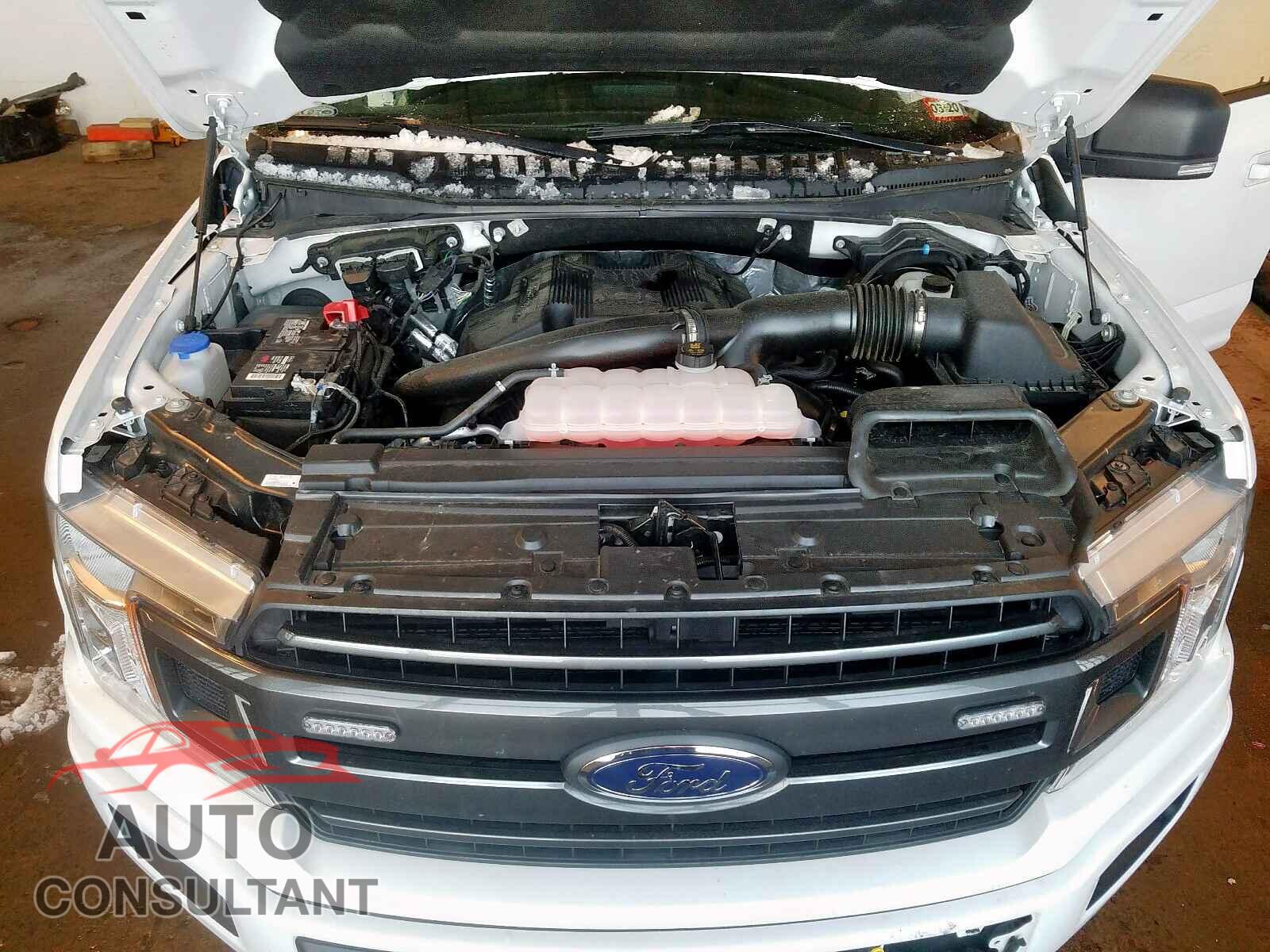 FORD F150 2019 - 1FTFX1E40KKC06496