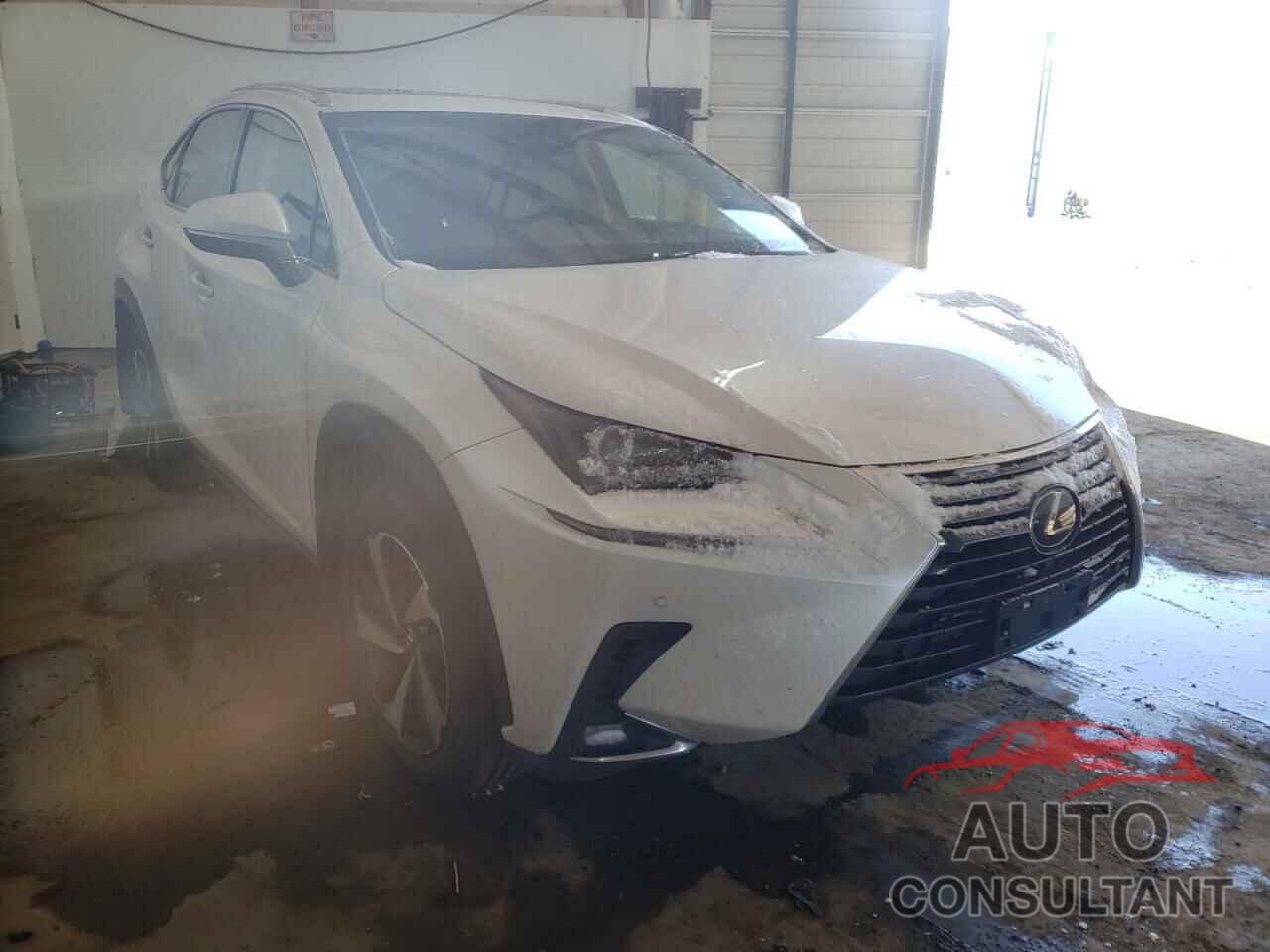 LEXUS NX 2019 - JTJBARBZ6K2179381