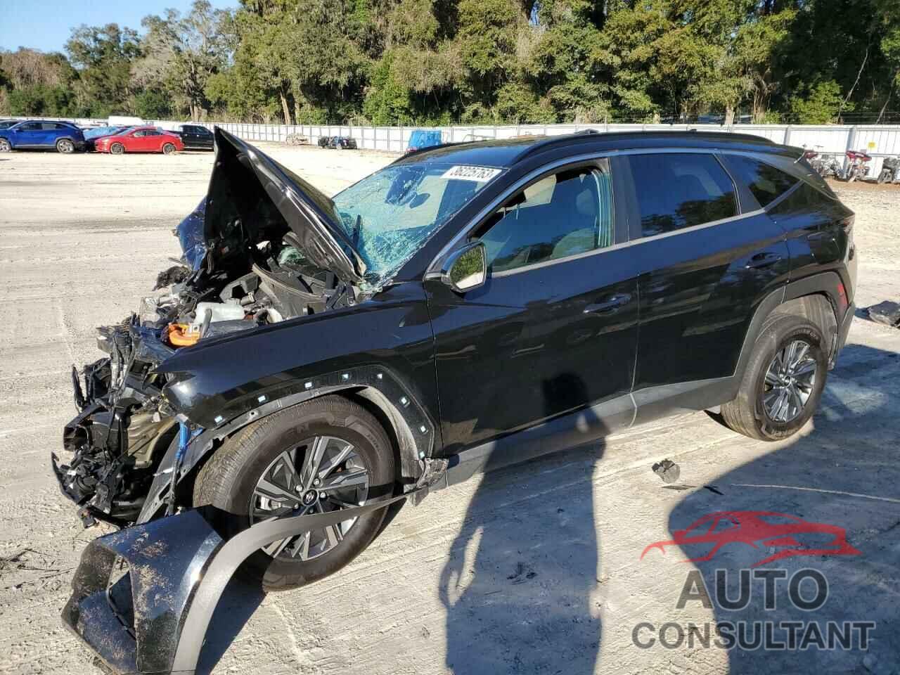 HYUNDAI TUCSON 2022 - KM8JBCA17NU029451