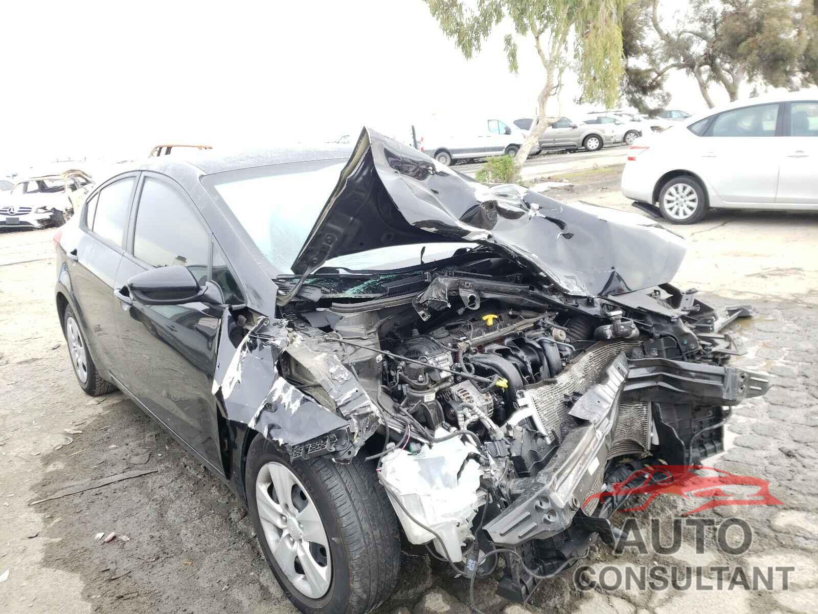 KIA FORTE 2016 - KNAFK4A68G5559174