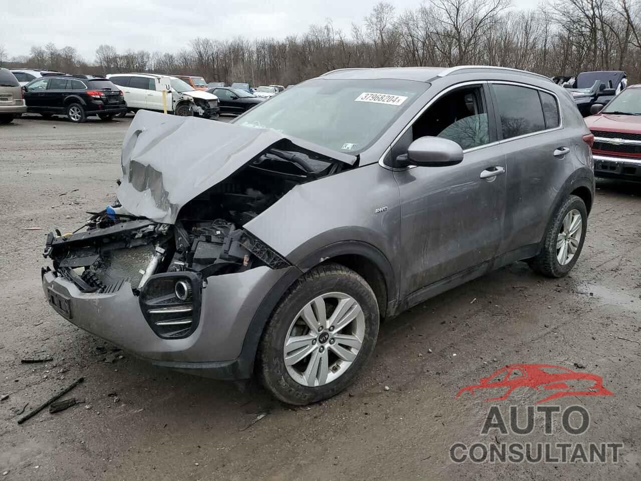 KIA SPORTAGE 2019 - KNDPMCAC5K7561429