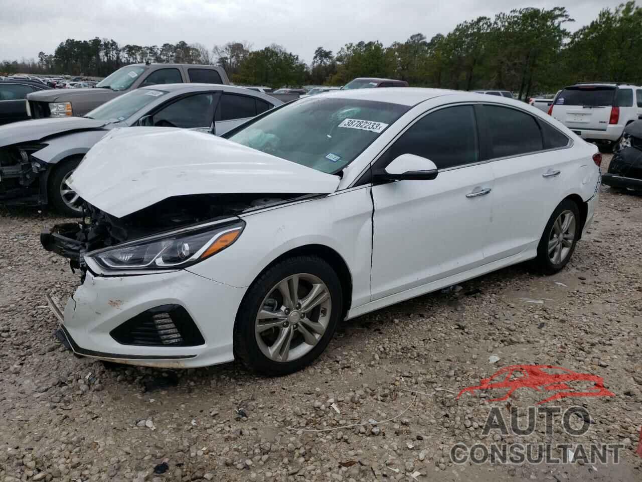 HYUNDAI SONATA 2019 - 5NPE34AF7KH779412
