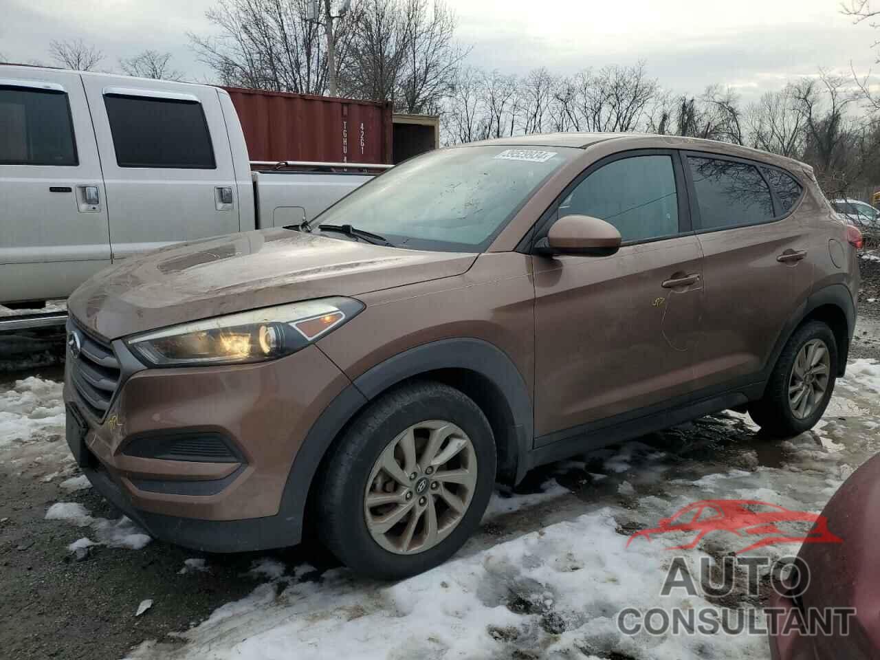 HYUNDAI TUCSON 2016 - KM8J23A43GU210446