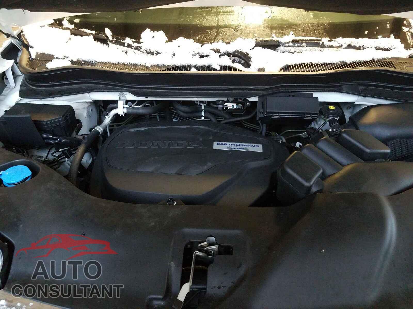 HONDA RIDGELINE 2019 - 5FPYK3F77KB029817