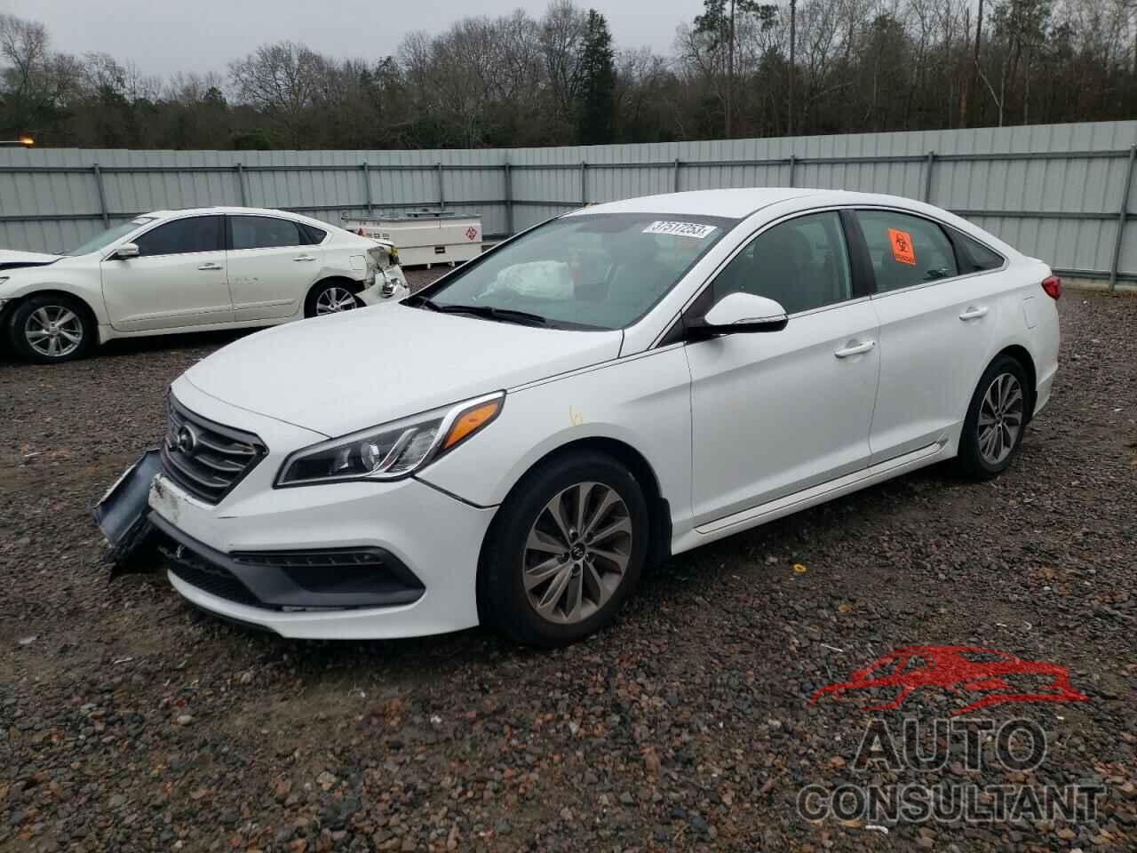 HYUNDAI SONATA 2016 - 5NPE34AF7GH353047
