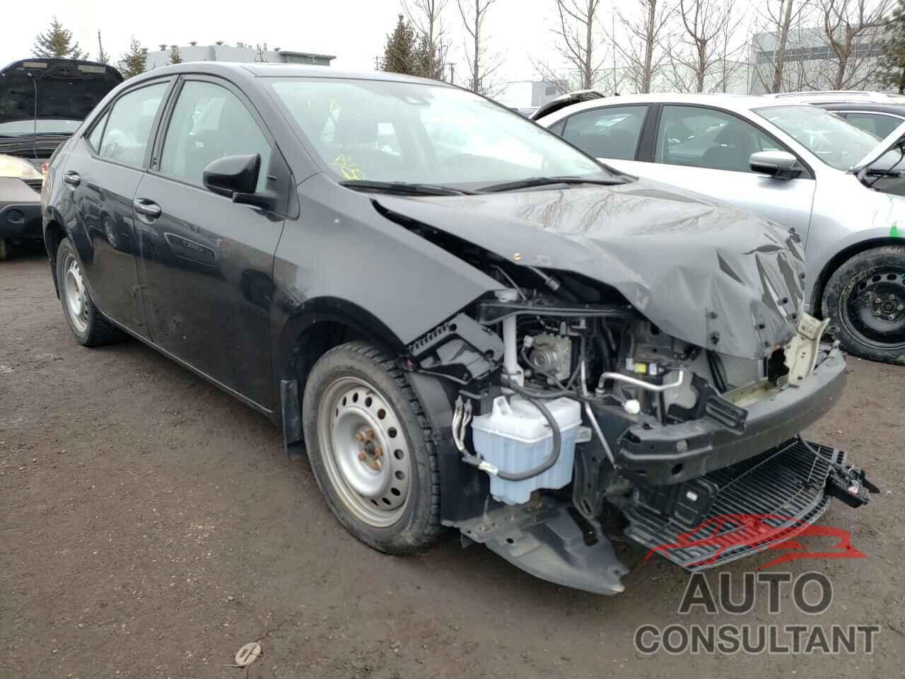 TOYOTA COROLLA 2019 - 2T1BURHE4KC217304