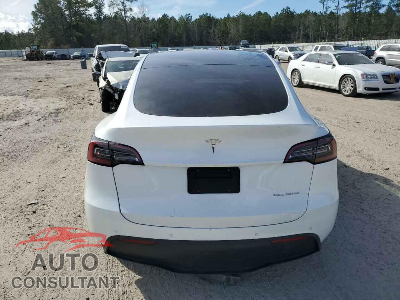 TESLA MODEL Y 2022 - 7SAYGDEE0NF309683