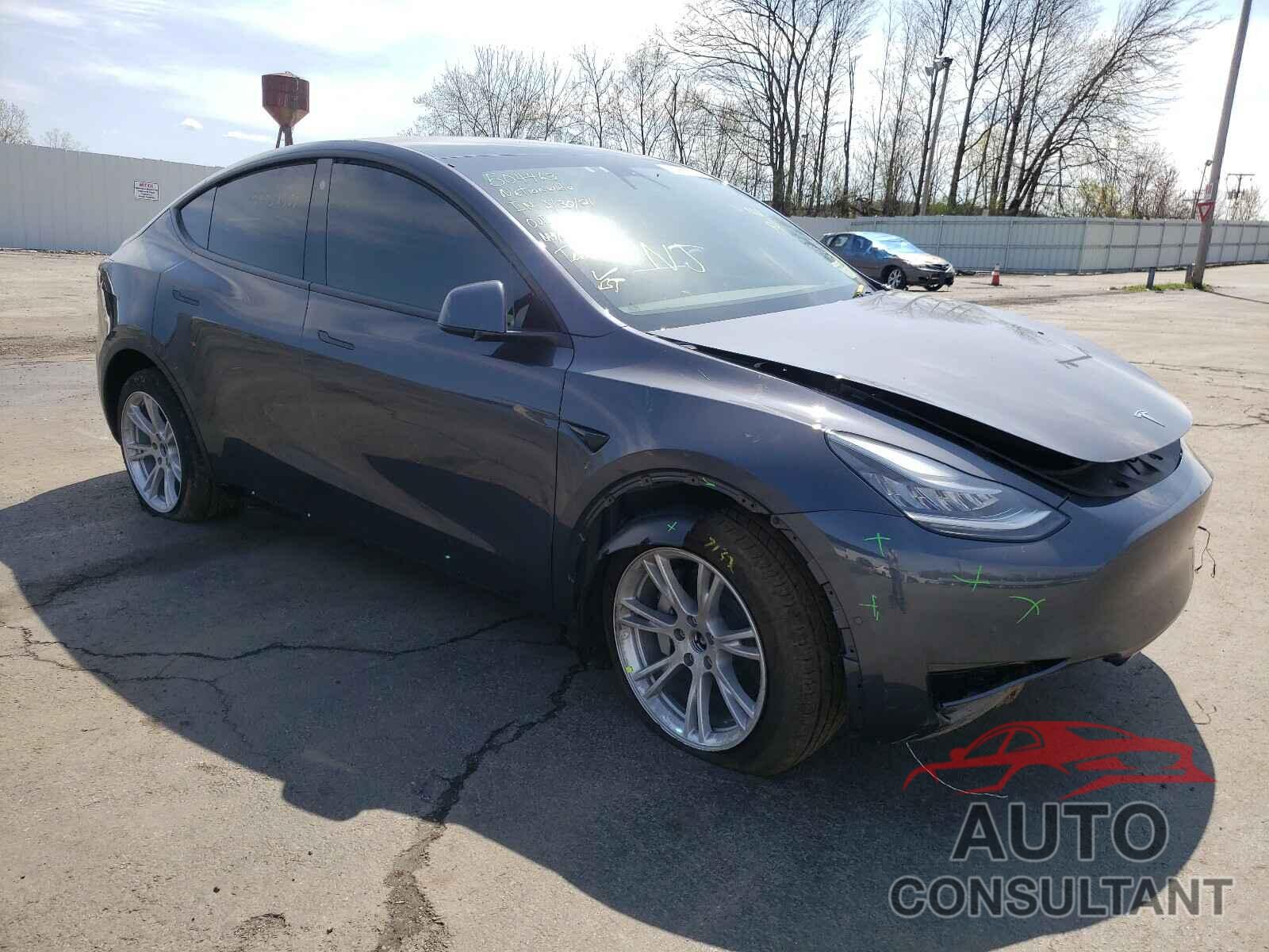 TESLA MODEL Y 2021 - 5YJYGDEE8MF131243