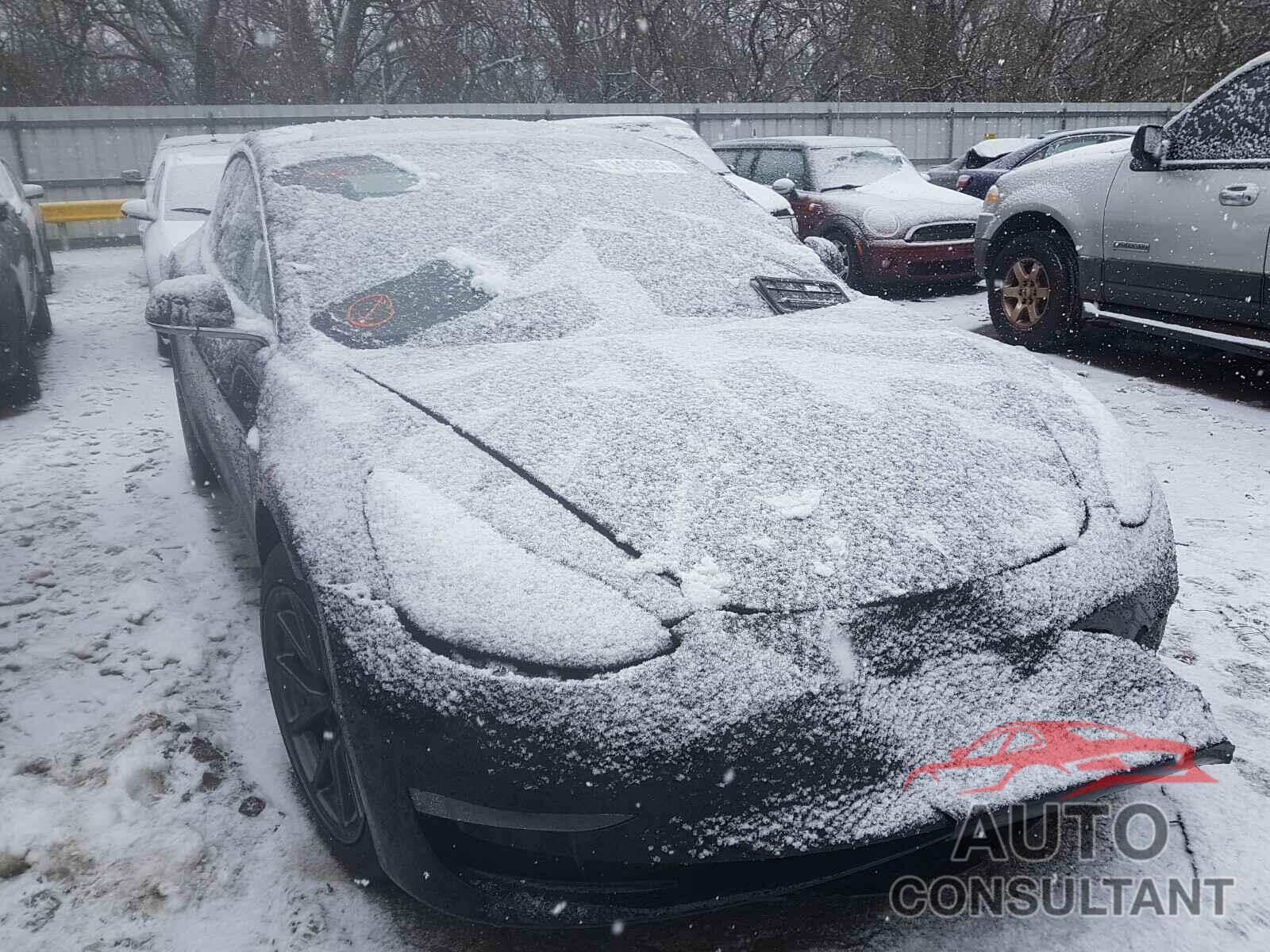 TESLA MODEL 3 2019 - 5YJ3E1EA2KF305171