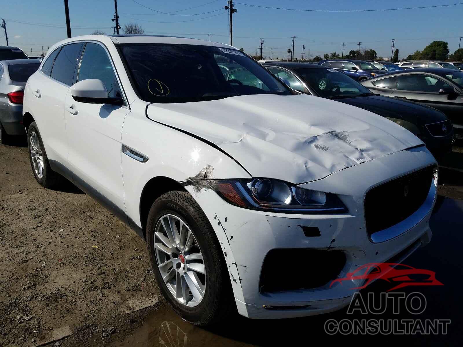 JAGUAR F-PACE 2020 - SADCK2GX5LA641654