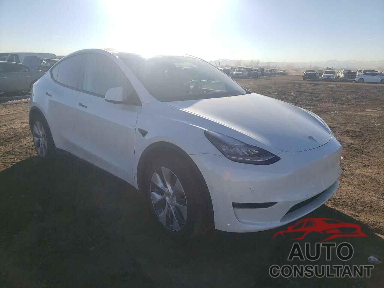 TESLA MODEL Y 2020 - 5YJYGDEE1LF015185