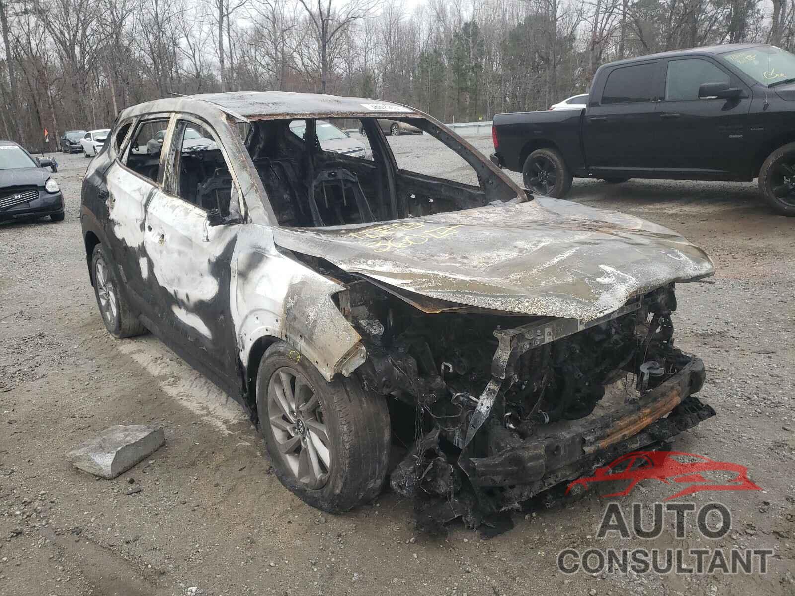 HYUNDAI TUCSON 2017 - KM8J23A45HU367428