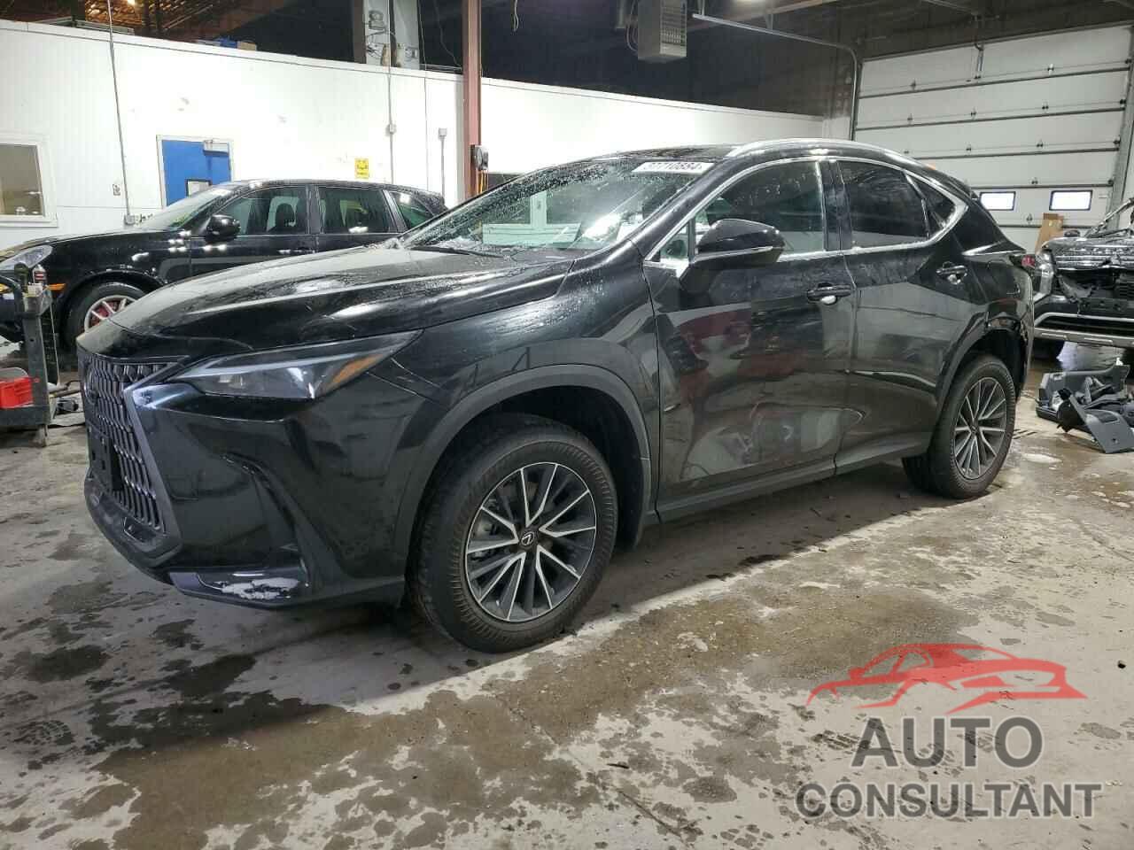 LEXUS NX 350H BA 2024 - 2T2AKCEZ9RC016915
