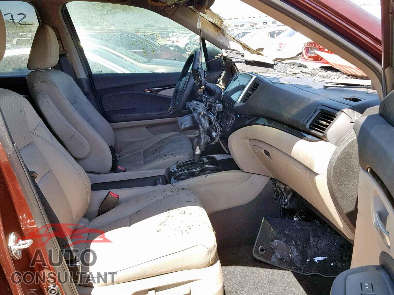 HONDA RIDGELINE 2019 - 5FPYK3F76KB004780