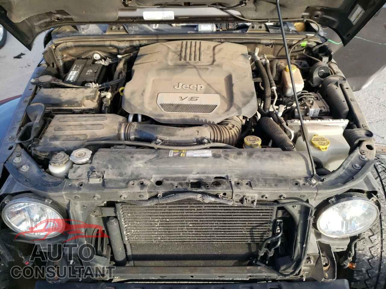 JEEP WRANGLER 2016 - 1C4BJWEG6GL172735