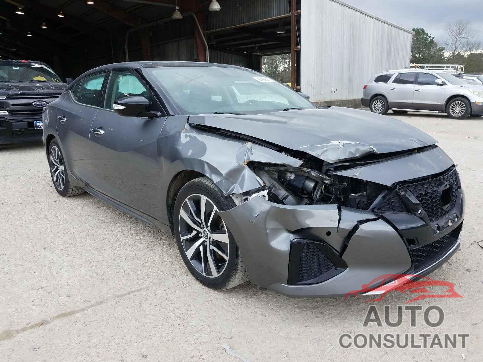 NISSAN MAXIMA 2019 - 1N4AA6AVXKC369180