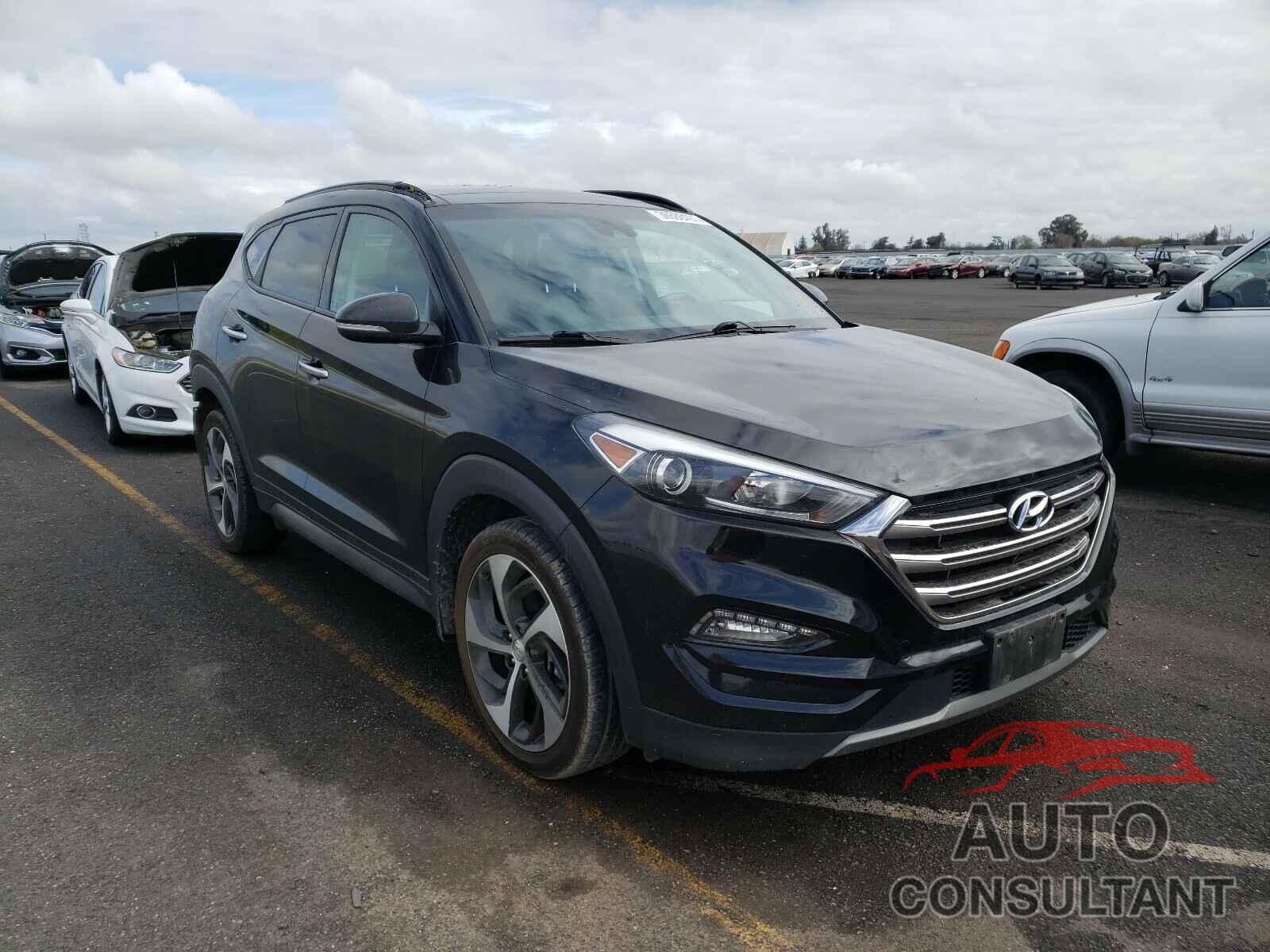 HYUNDAI TUCSON 2016 - KM8J33A23GU263112