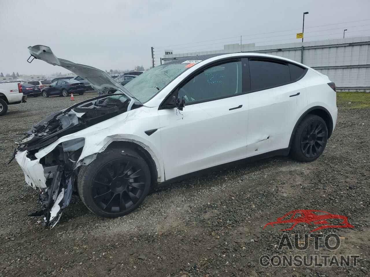 TESLA MODEL Y 2022 - 7SAYGDEE7NF553752