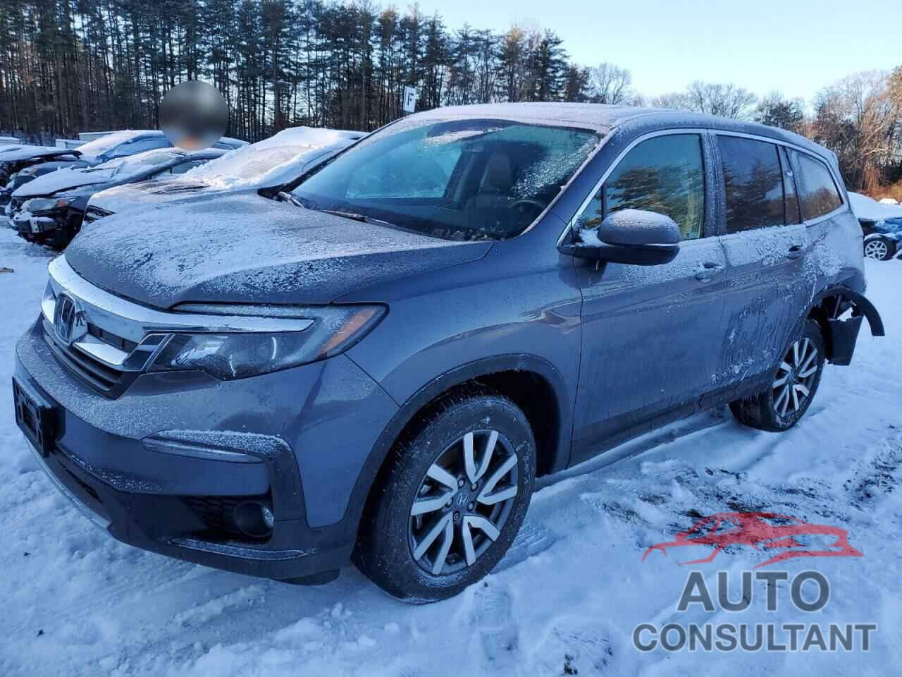 HONDA PILOT 2021 - 5FNYF6H59MB033459