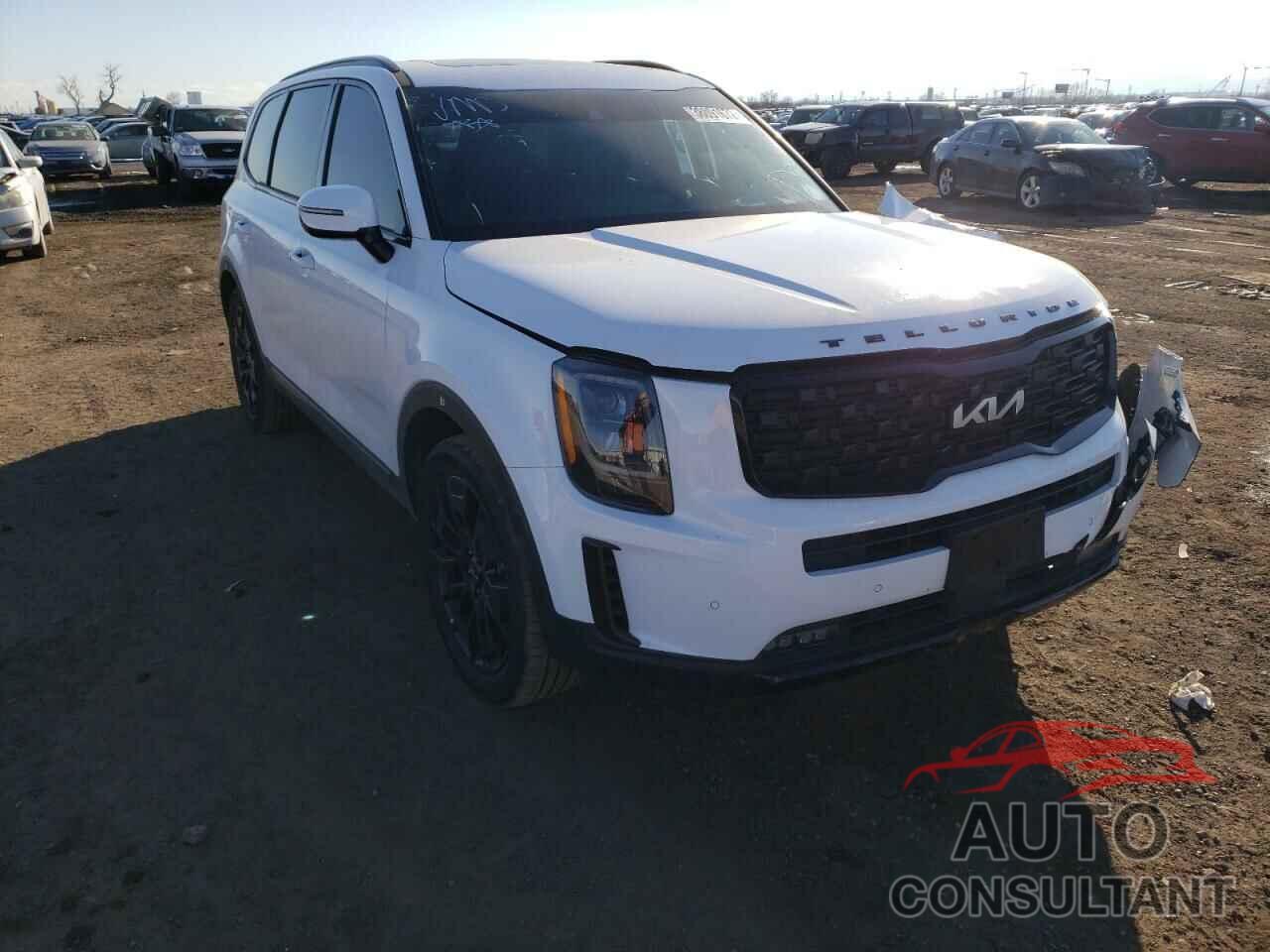 KIA TELLURIDE 2022 - 5XYP5DHC6NG233713