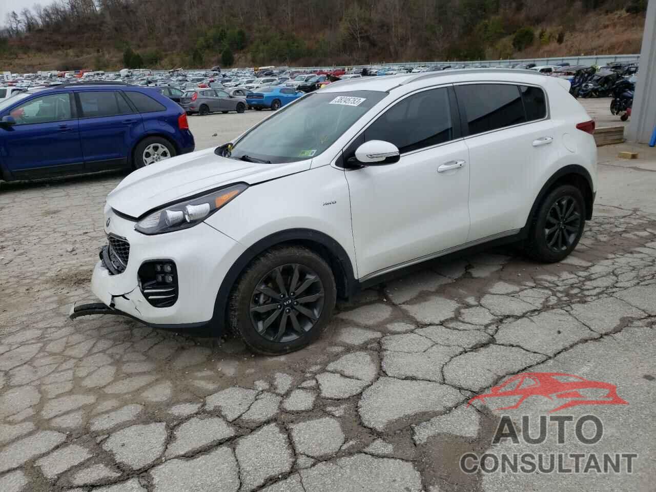 KIA SPORTAGE 2019 - KNDPNCAC8K7539146
