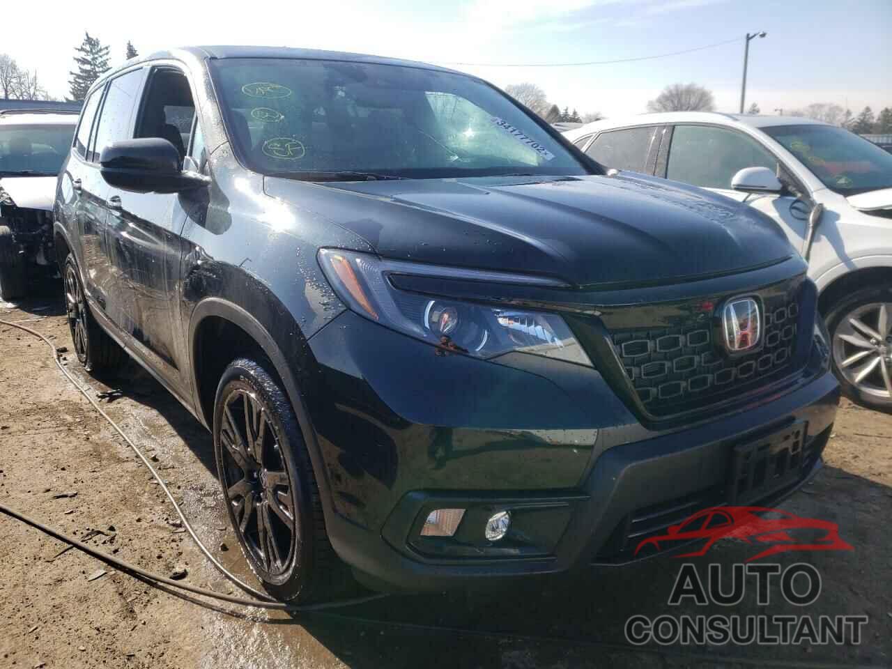 HONDA PASSPORT 2019 - 5FNYF8H20KB022252