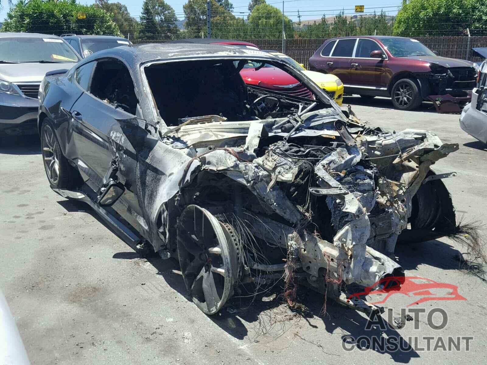 FORD MUSTANG 2016 - 1FA6P8CF0G5231231
