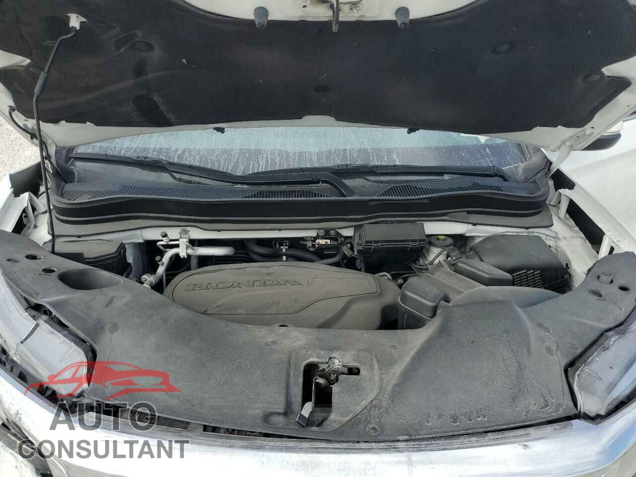 HONDA PILOT 2021 - 5FNYF5H92MB010344