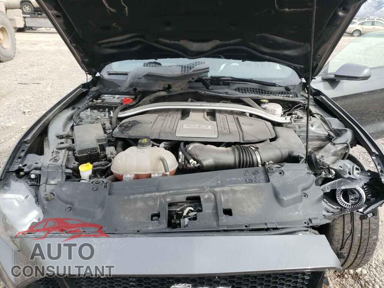 FORD MUSTANG 2019 - 1FA6P8CF9K5202383