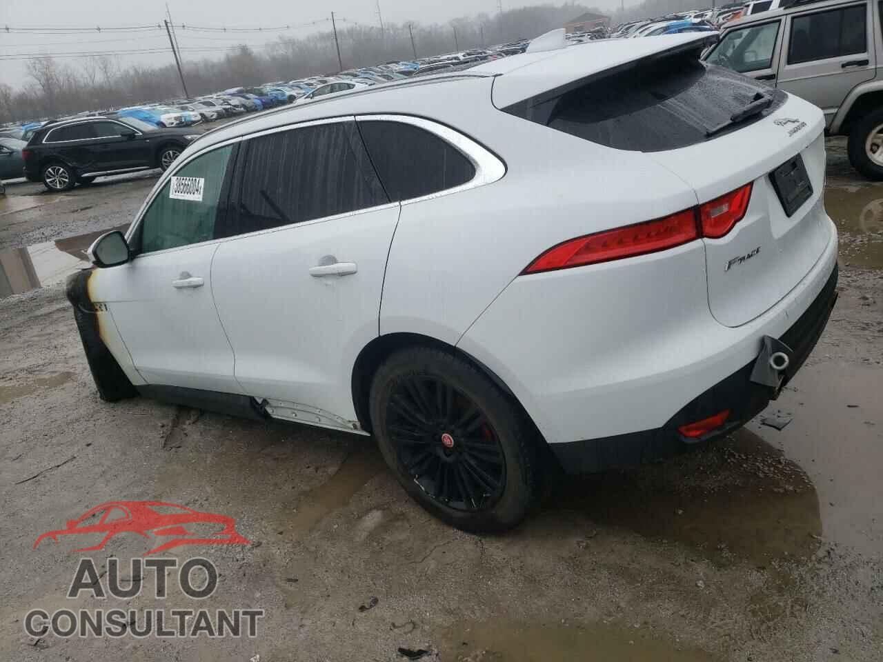 JAGUAR F-PACE 2018 - SADCN2EV9JA242803