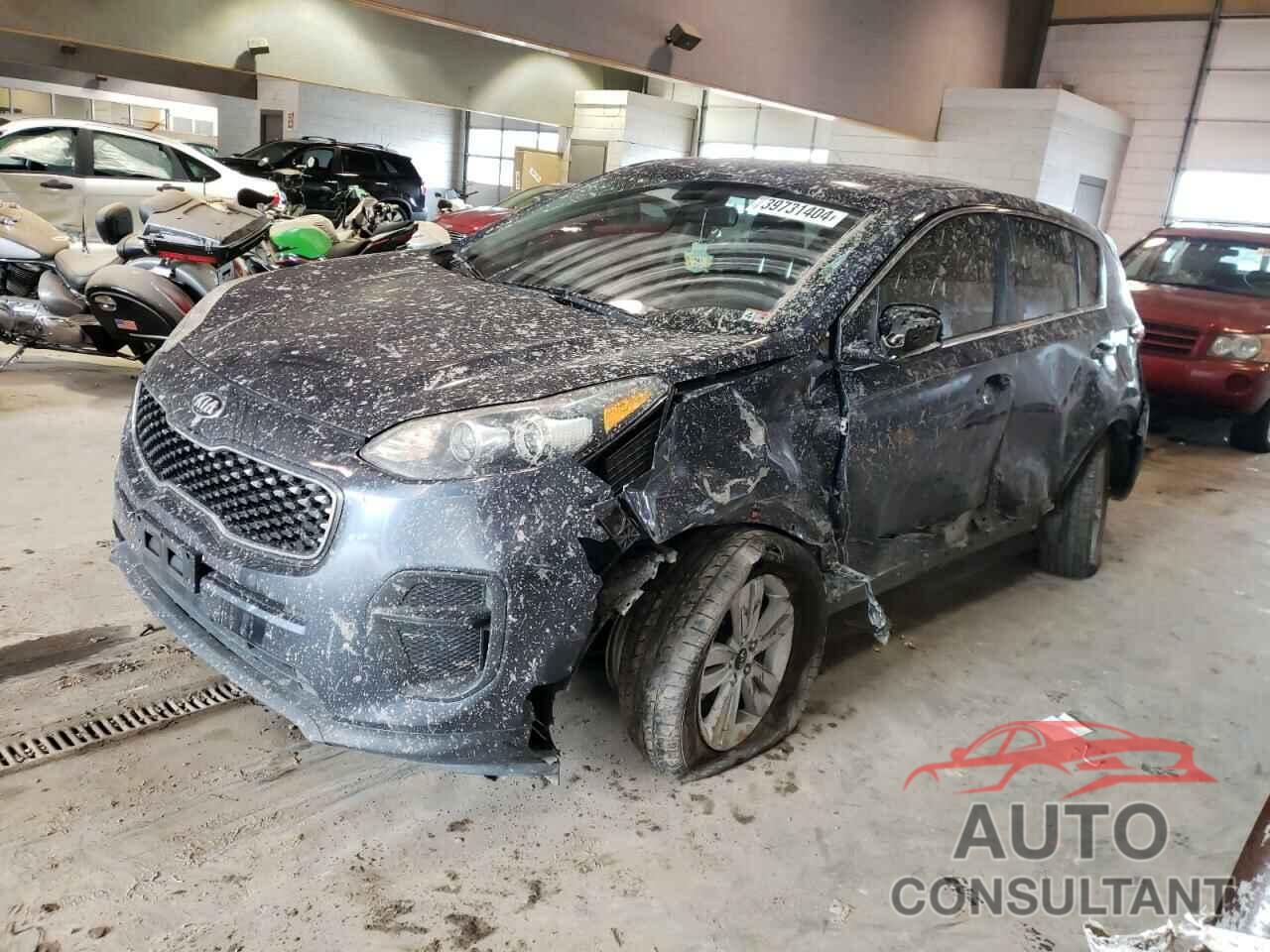 KIA SPORTAGE 2017 - KNDPM3AC1H7171694