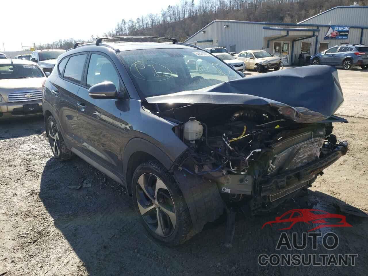 HYUNDAI TUCSON 2017 - KM8J3CA21HU344773