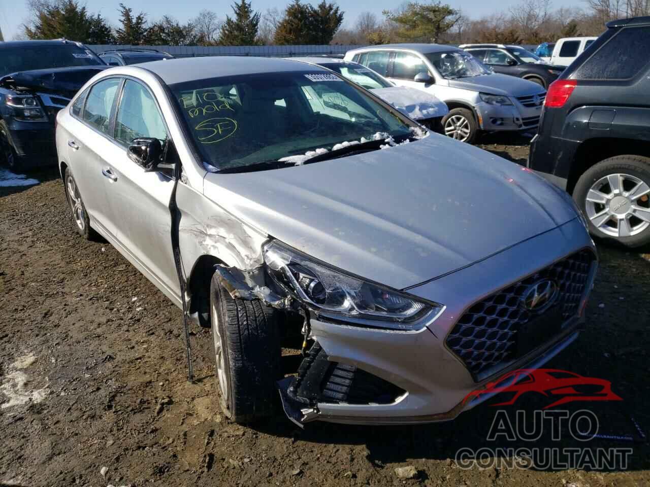 HYUNDAI SONATA 2019 - 5NPE34AF7KH797120