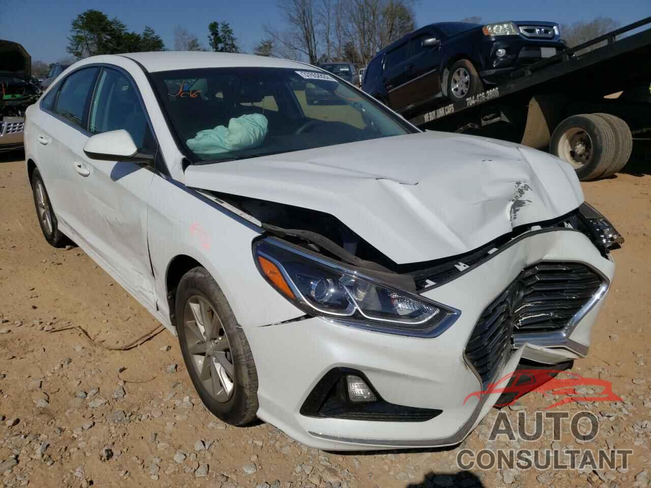 HYUNDAI SONATA 2019 - 5NPE24AF9KH745278