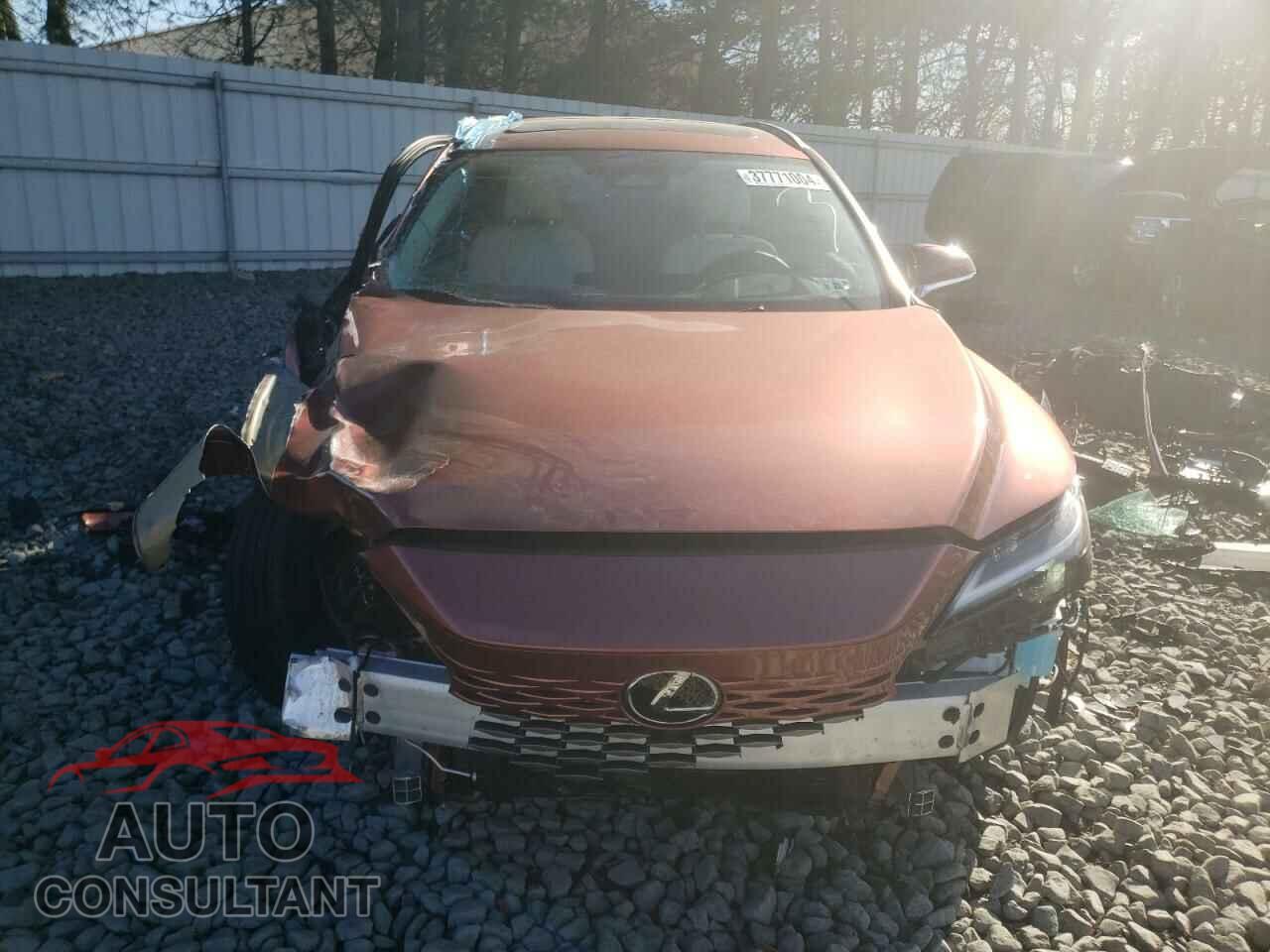 LEXUS RX350 2023 - 2T2BAMCA7PC027449