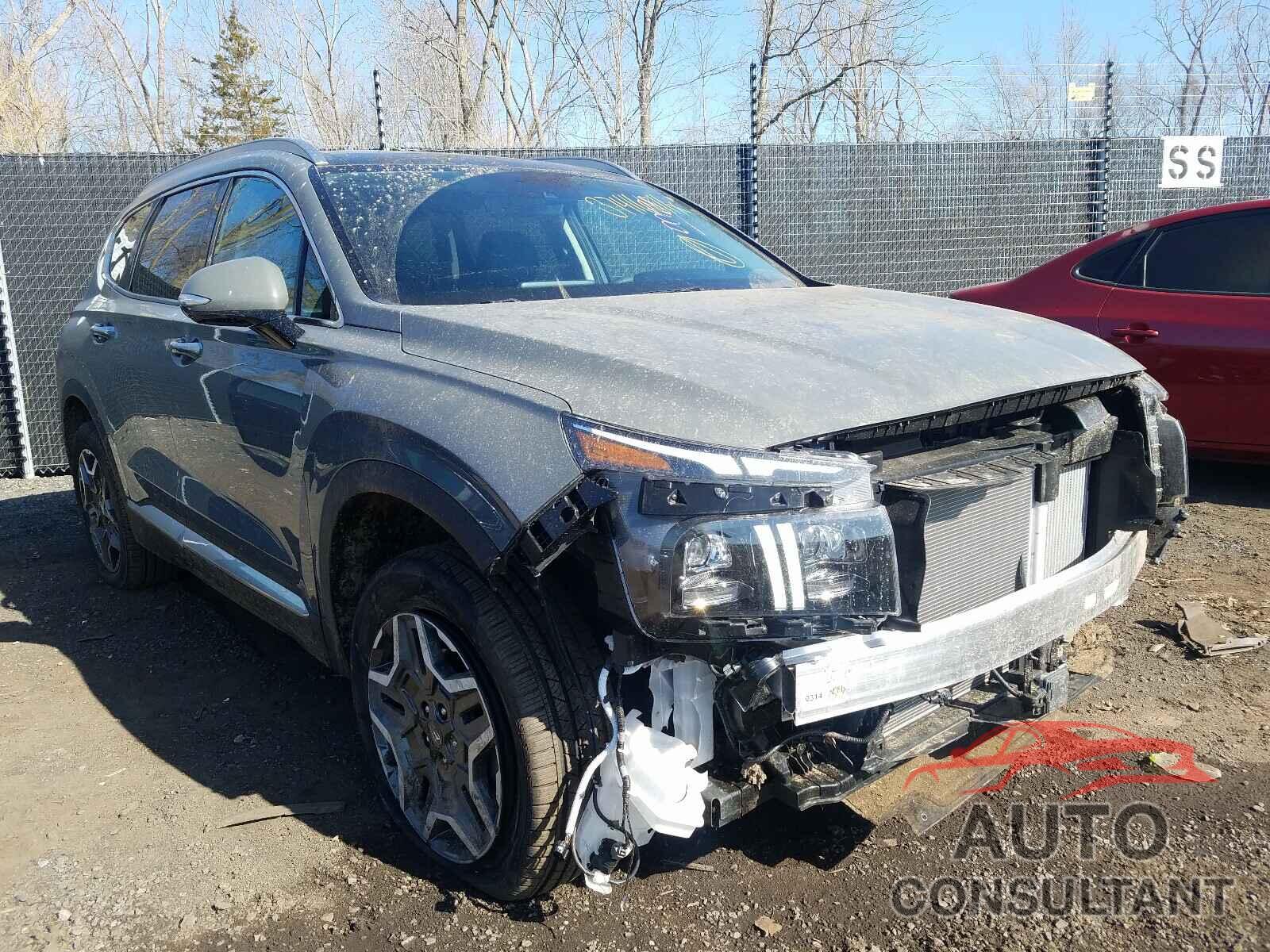 HYUNDAI SANTA FE 2021 - 5NMS4DAL9MH309923