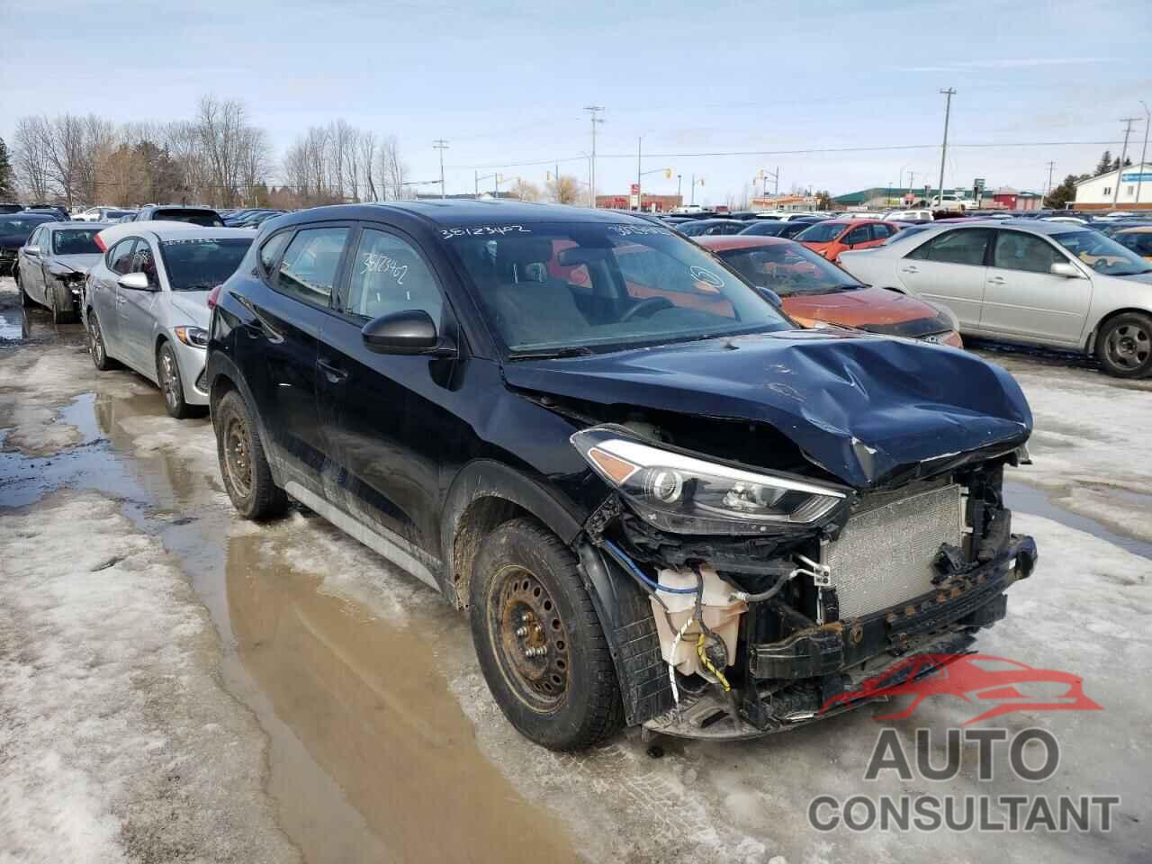 HYUNDAI TUCSON 2017 - KM8J2CA40HU447669