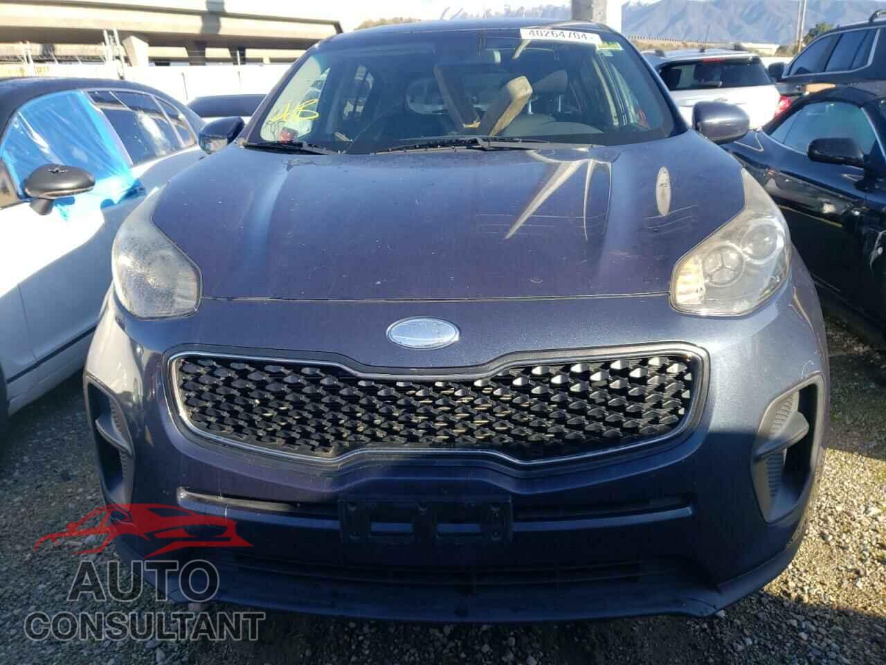 KIA SPORTAGE 2019 - KNDPM3AC8K7513830