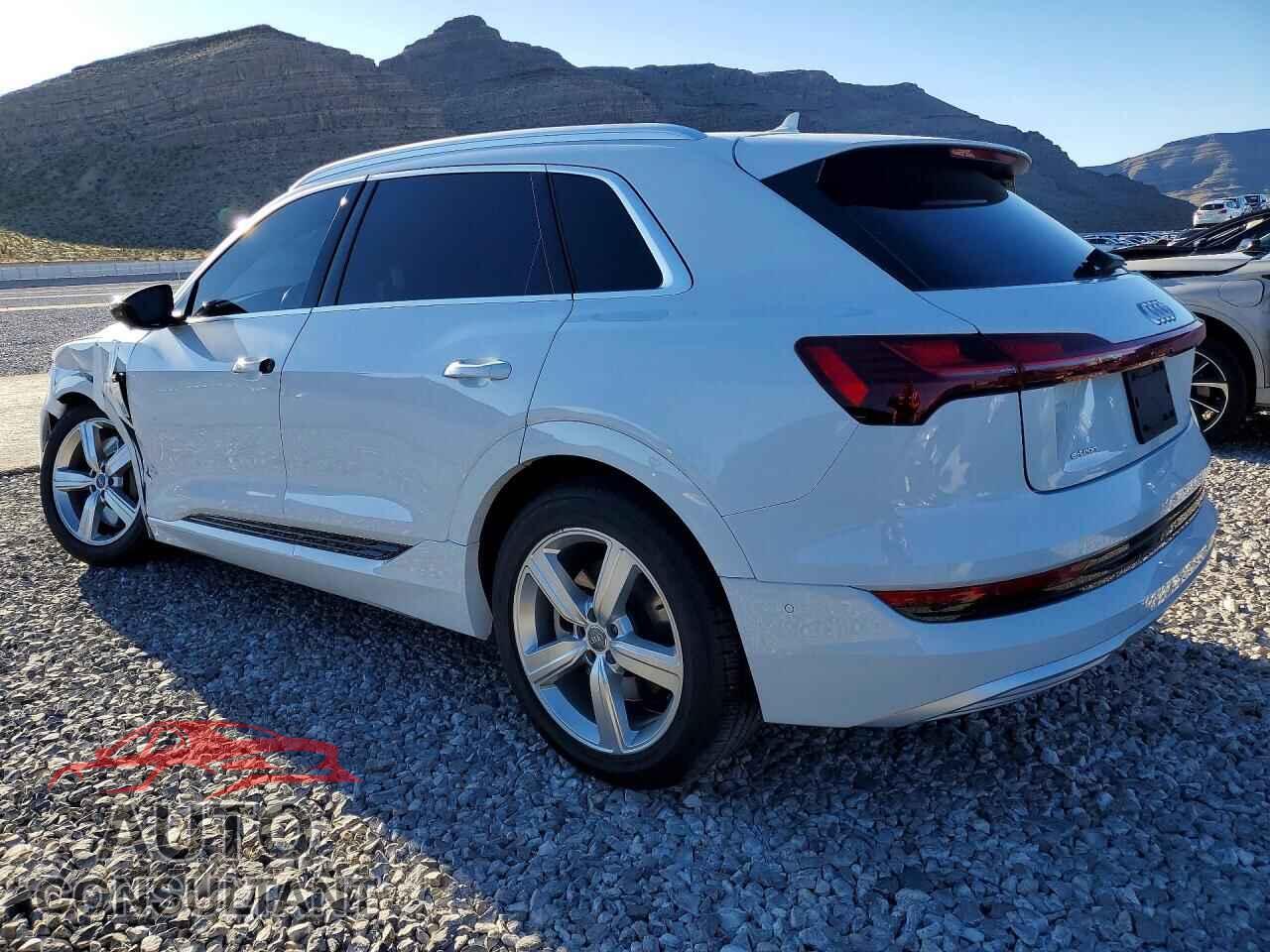 AUDI E-TRON 2019 - WA1LAAGEXKB022641