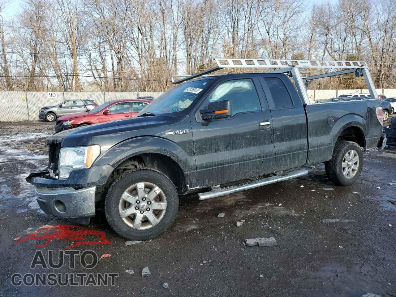 FORD F-150 2013 - 1FTEX1CM7DFD51920