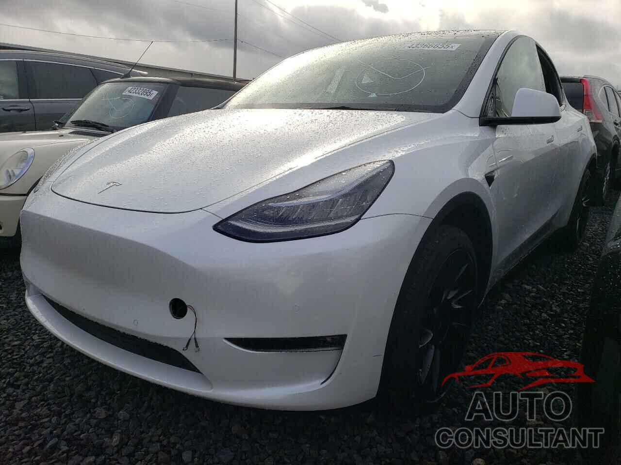TESLA MODEL Y 2021 - 5YJYGDEEXMF199396