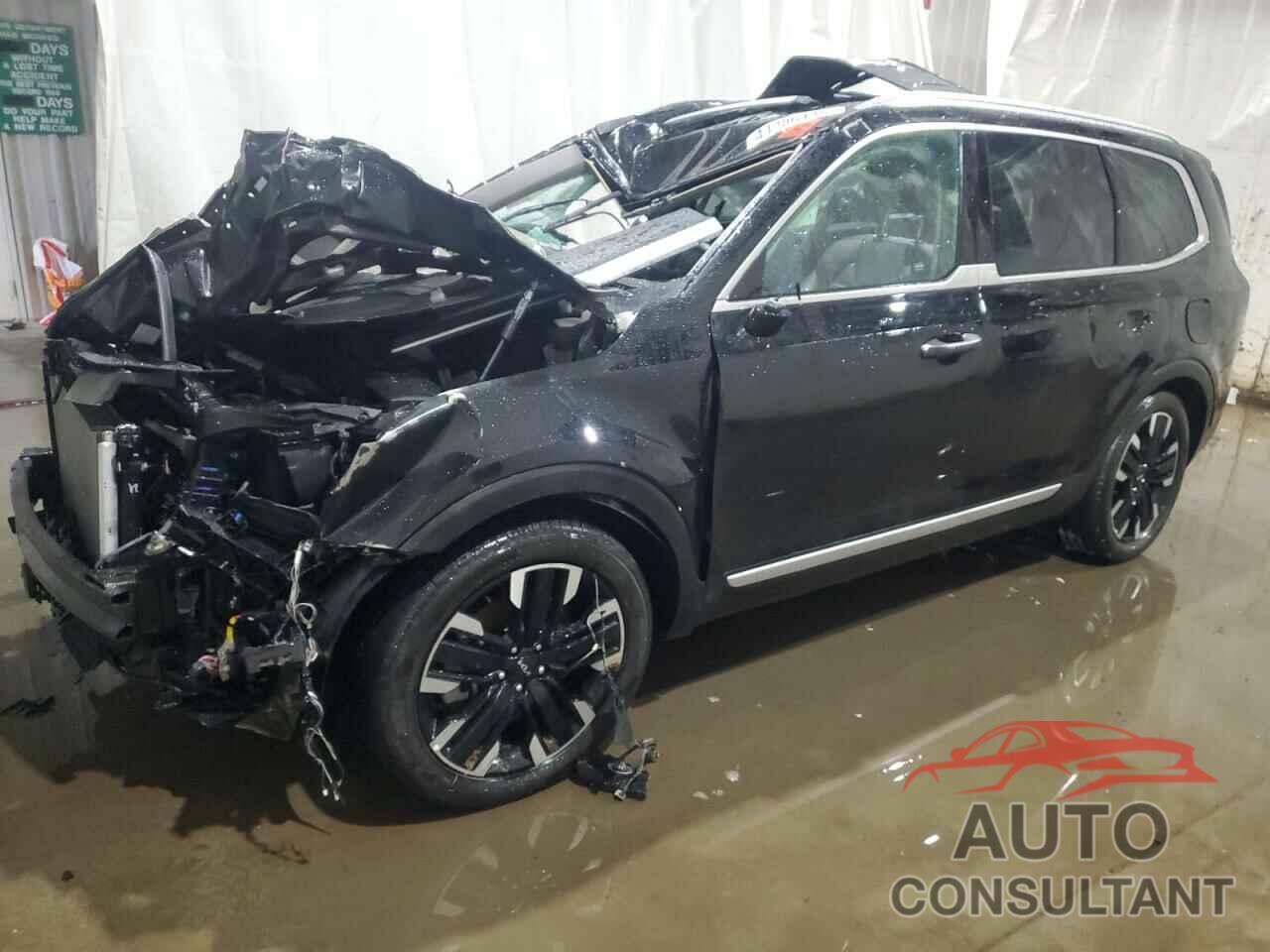 KIA TELLURIDE 2024 - 5XYP5DGC9RG510605